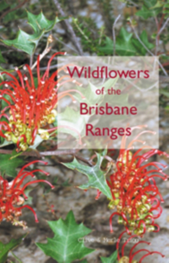 Wildflowers of the Brisbane Ranges (e-bog) af Trigg, Merle