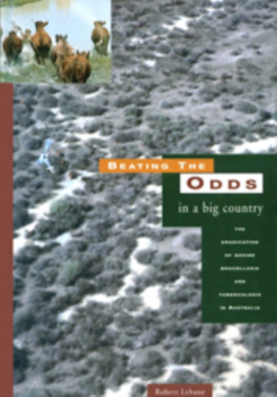 Beating the Odds in a Big Country (e-bog) af Lehane, Robert