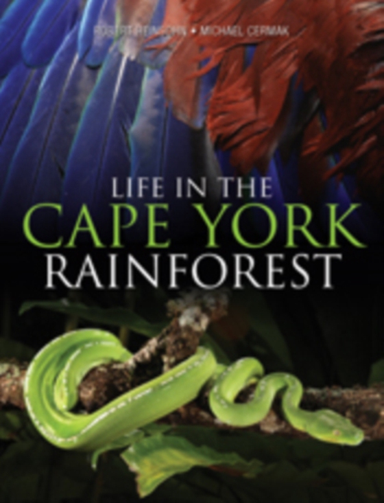 Life in the Cape York Rainforest