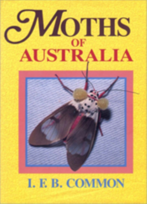 Moths of Australia (e-bog) af Common, IFB