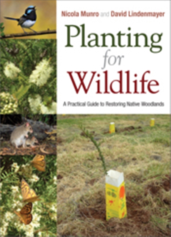 Planting for Wildlife