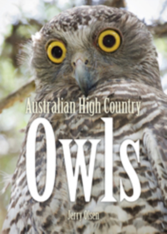 Australian High Country Owls (e-bog) af Olsen, Jerry