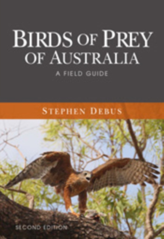 Birds of Prey of Australia (e-bog) af Debus, Stephen