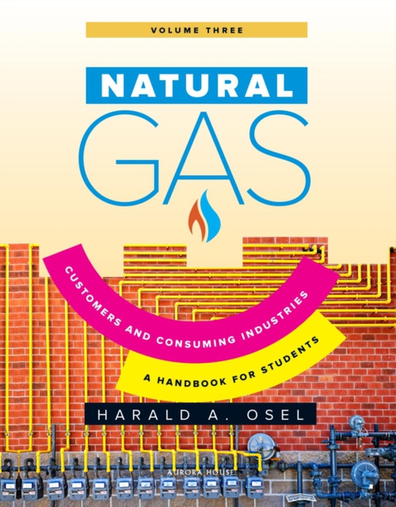 Natural Gas: Consumers and Consuming Industry (e-bog) af Osel, Harald