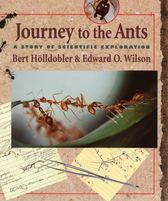 Journey to the Ants (e-bog) af Edward O. Wilson, Wilson