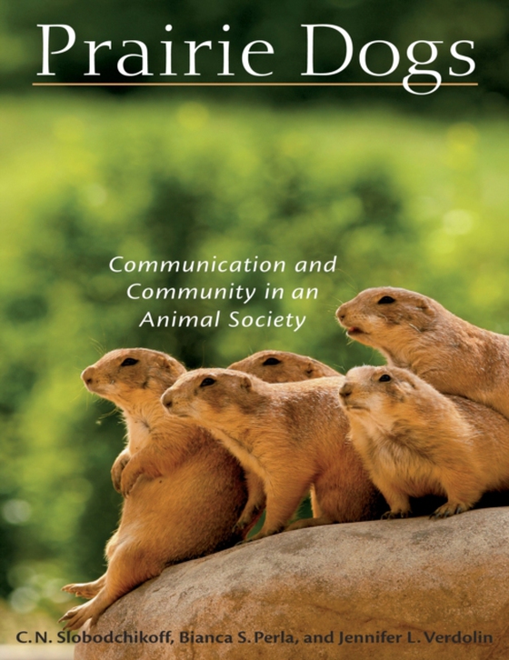 Prairie Dogs (e-bog) af Jennifer L. Verdolin, Verdolin
