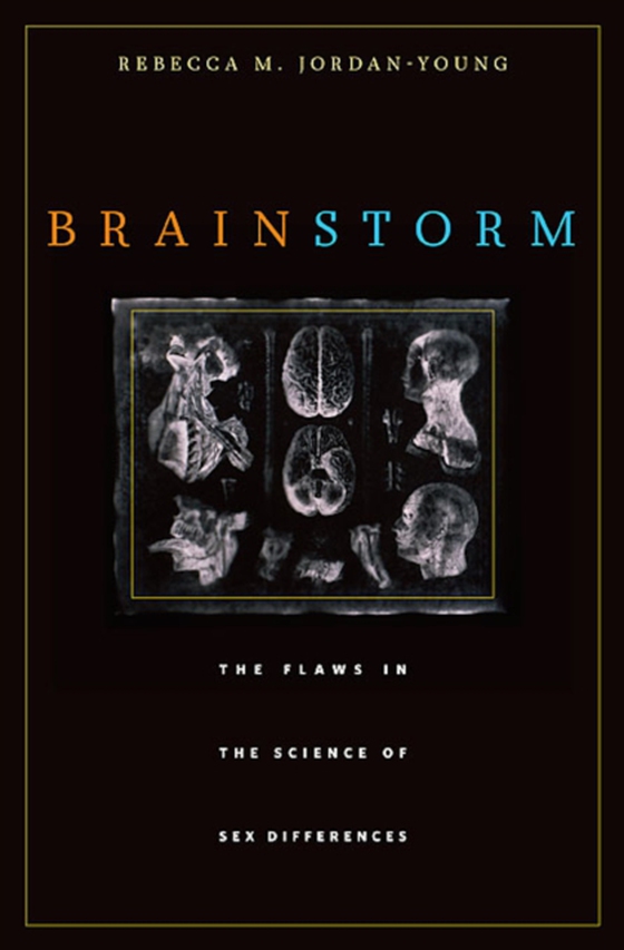 Brain Storm (e-bog) af Rebecca M. Jordan-Young, Jordan-Young