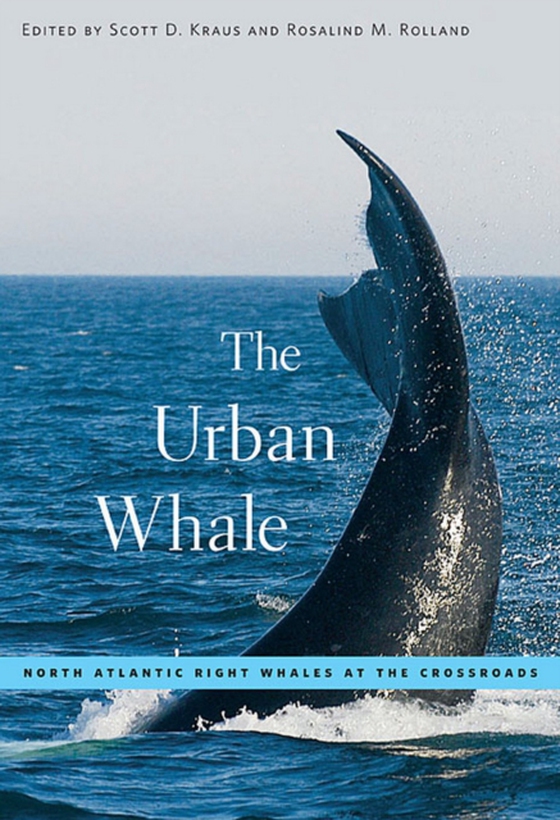 Urban Whale (e-bog) af -