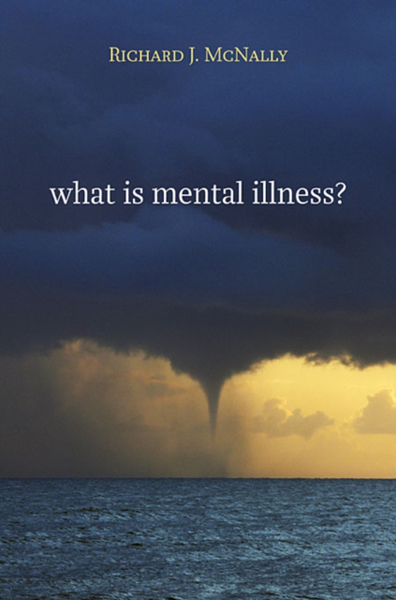 What Is Mental Illness?