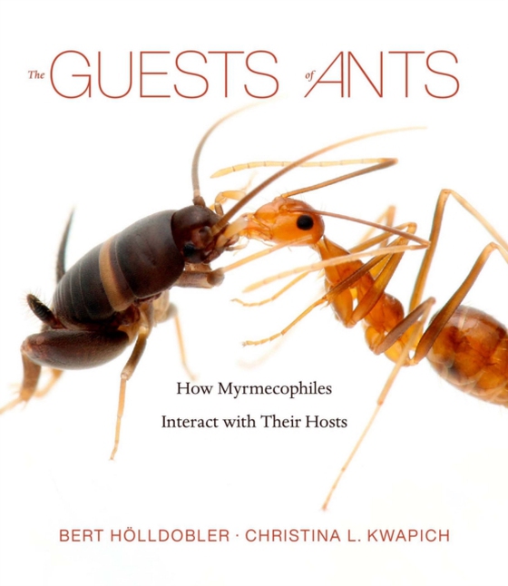 Guests of Ants (e-bog) af Christina L. Kwapich, Kwapich
