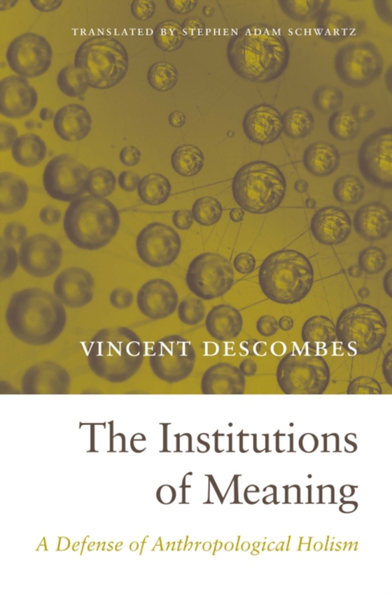 Institutions of Meaning (e-bog) af Vincent Descombes, Descombes