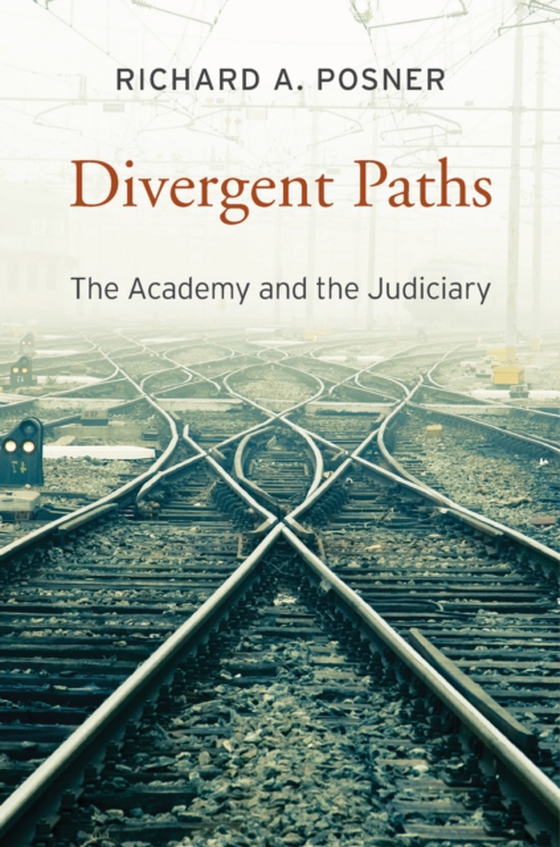 Divergent Paths (e-bog) af Richard A. Posner, Posner