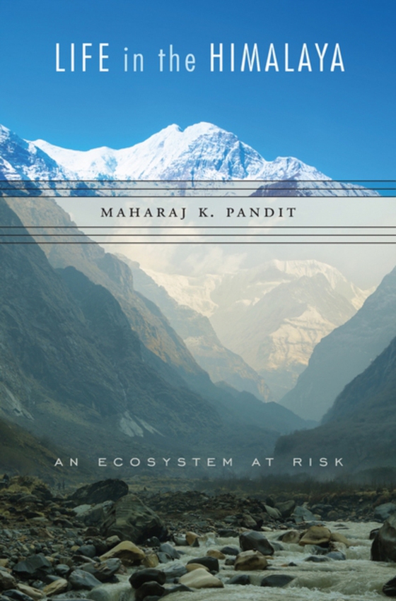 Life in the Himalaya (e-bog) af Maharaj K. Pandit, Pandit