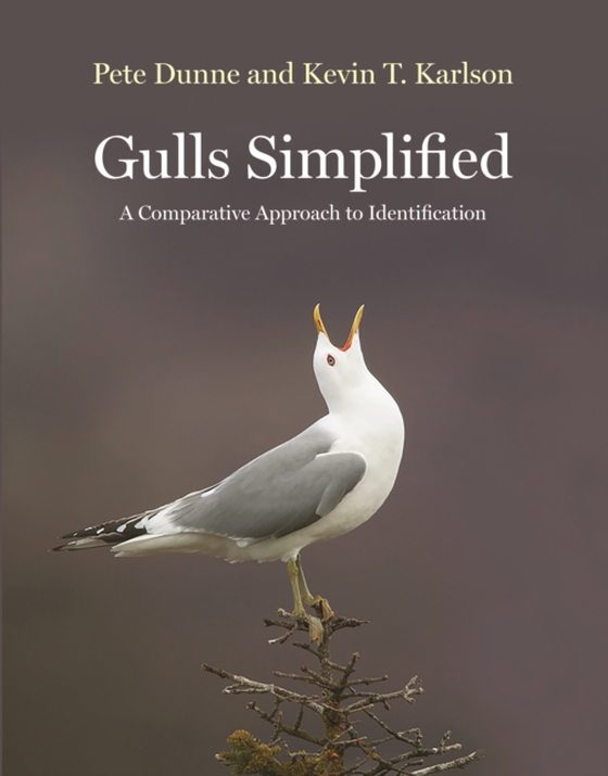 Gulls Simplified (e-bog) af Karlson, Kevin T.