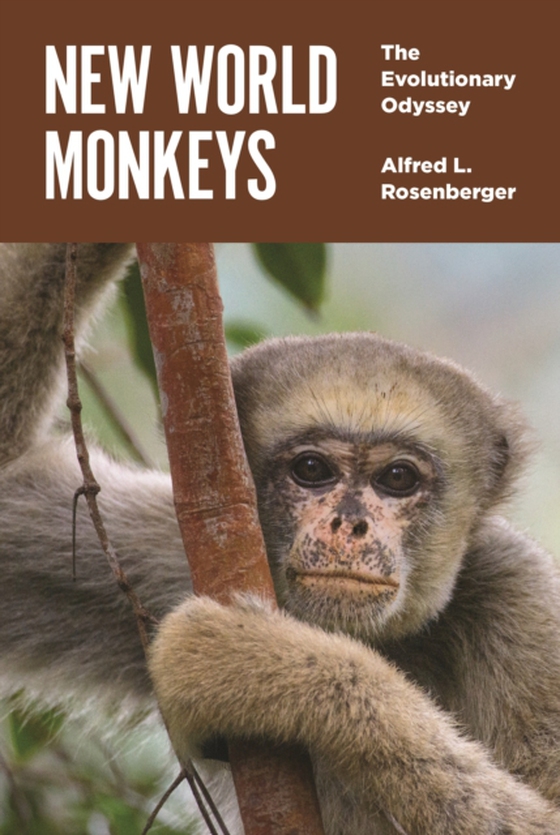 New World Monkeys (e-bog) af Rosenberger, Alfred L.