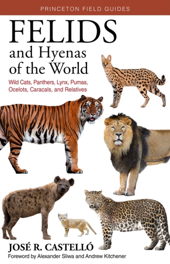 Felids and Hyenas of the World (e-bog) af Castello, Jose R.