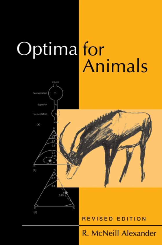 Optima for Animals (e-bog) af Alexander, R. McNeill