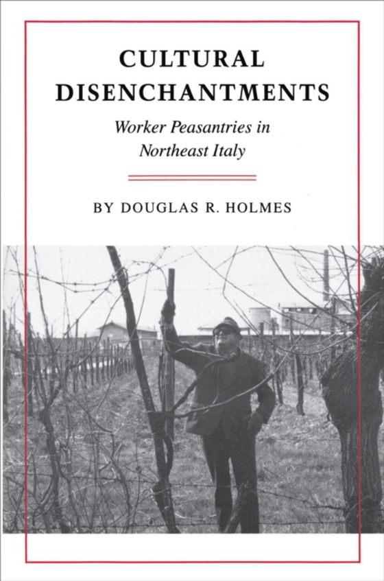Cultural Disenchantments (e-bog) af Holmes, Douglas R.