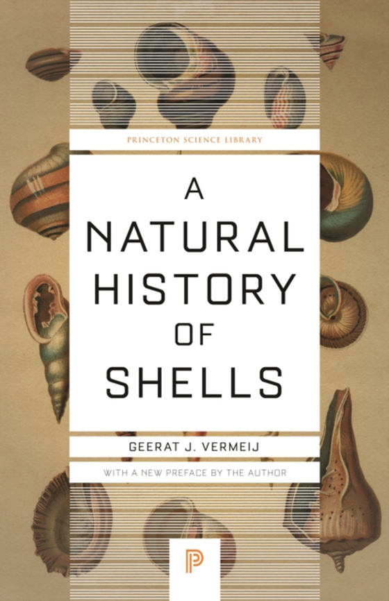 Natural History of Shells (e-bog) af Vermeij, Geerat