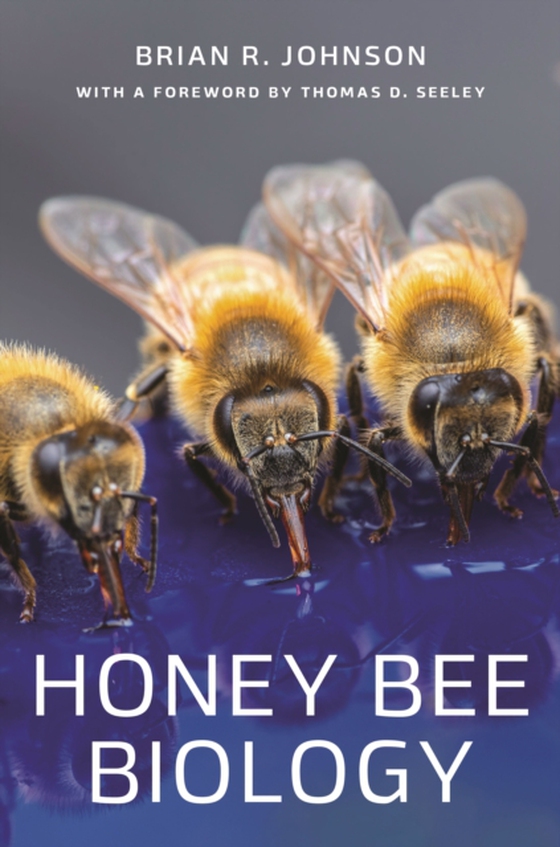 Honey Bee Biology (e-bog) af Johnson, Brian R.