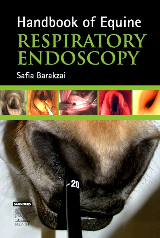 E-Book Handbook of Equine Respiratory Endoscopy (e-bog) af Barakzai, Safia