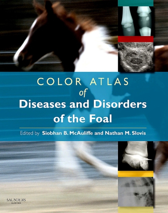 Color Atlas of Diseases and Disorders of the Foal E-Book (e-bog) af -