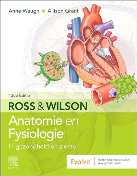 Ross and Wilson Anatomie en Fysiologie in gezondheid en ziekte - E-Book (e-bog) af Grant, Allison