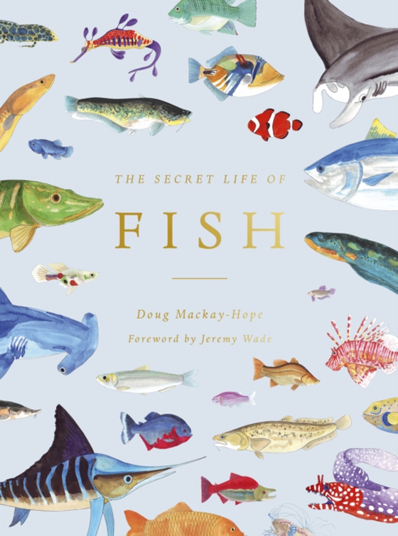 Secret Life of Fish (e-bog) af Mackay-Hope, Doug