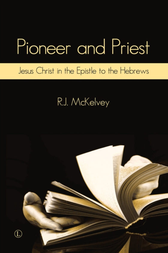 Pioneer and Priest (e-bog) af McKelvey, R J