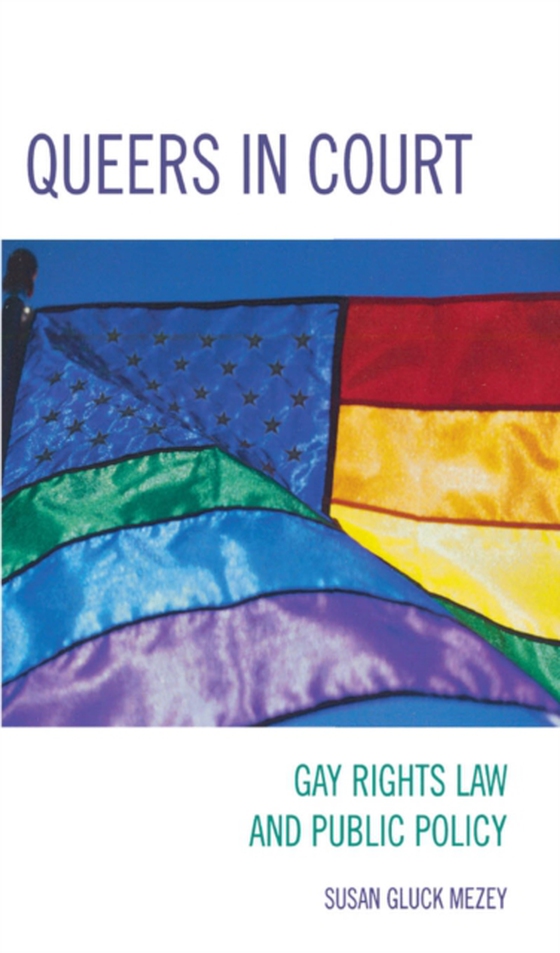 Queers in Court (e-bog) af Mezey, Susan Gluck