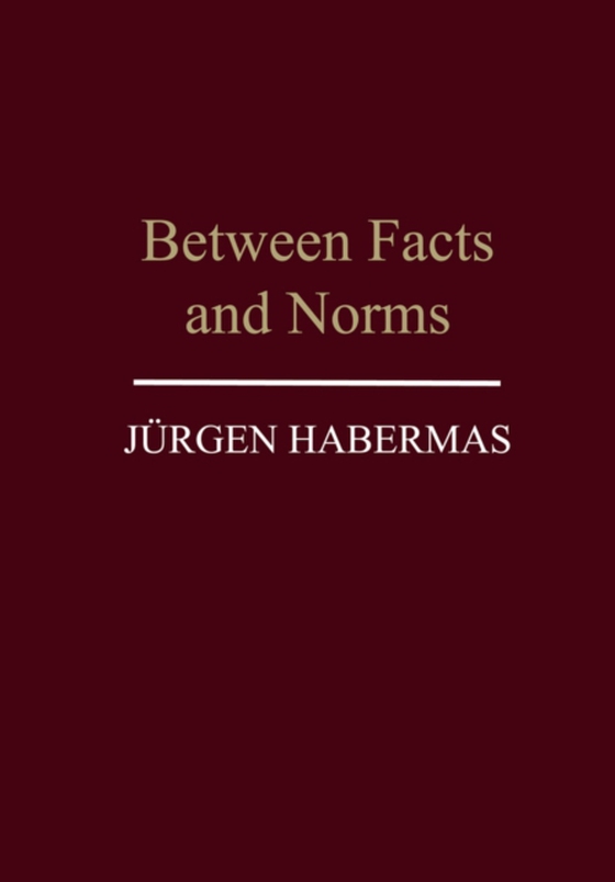 Between Facts and Norms