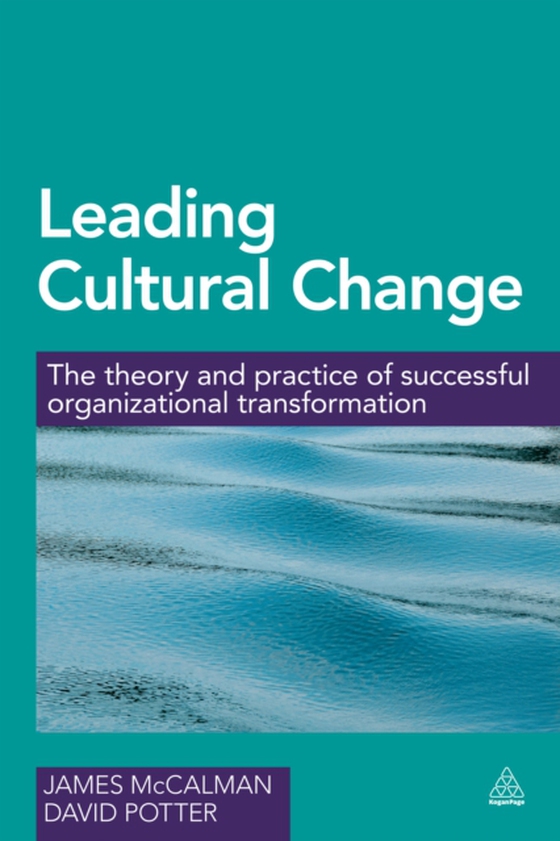 Leading Cultural Change (e-bog) af Potter, David