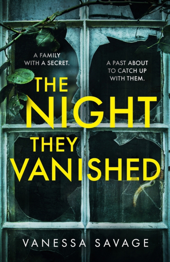 Night They Vanished (e-bog) af Savage, Vanessa