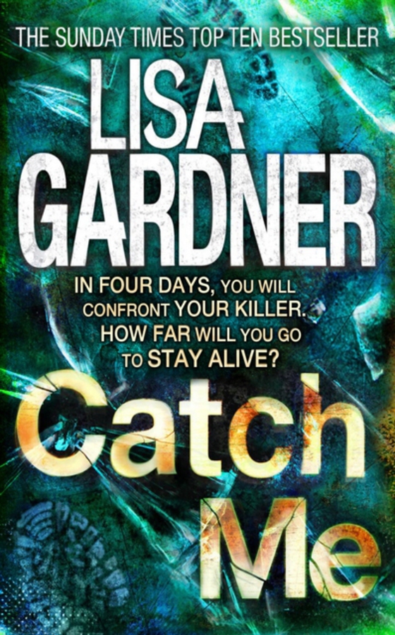 Catch Me (Detective D.D. Warren 6)