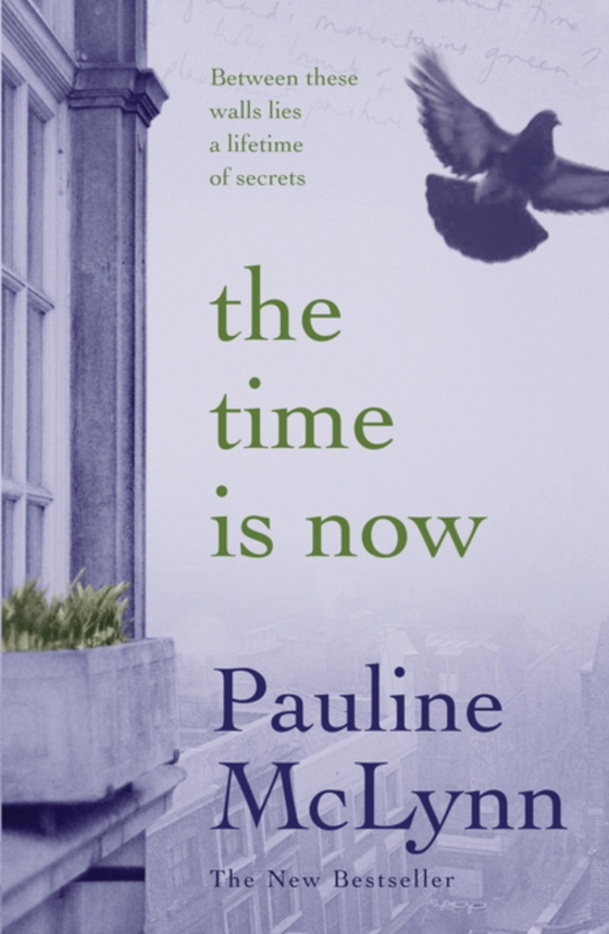 Time is Now (e-bog) af Mclynn, Pauline