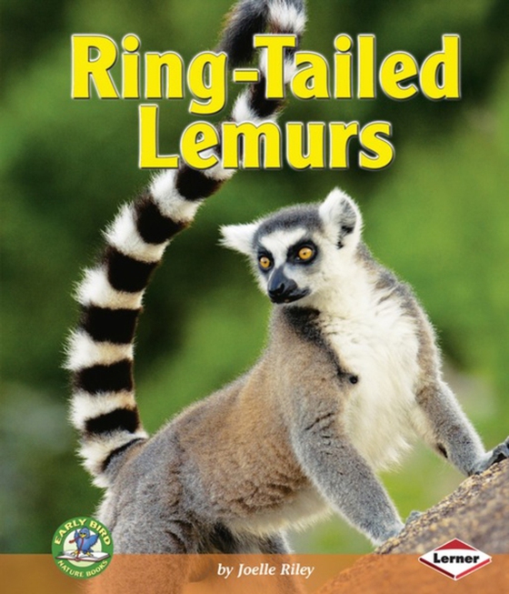 Ring-Tailed Lemurs