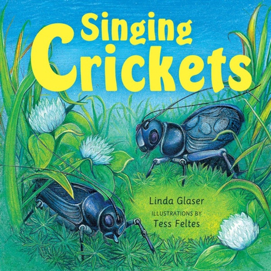 Singing Crickets (e-bog) af Glaser, Linda