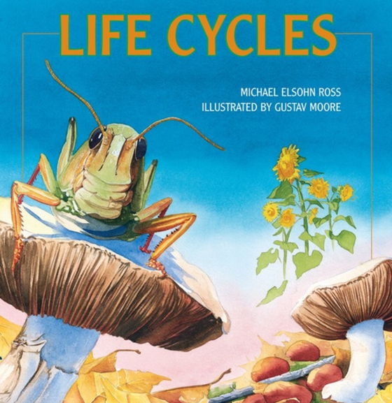 Life Cycles