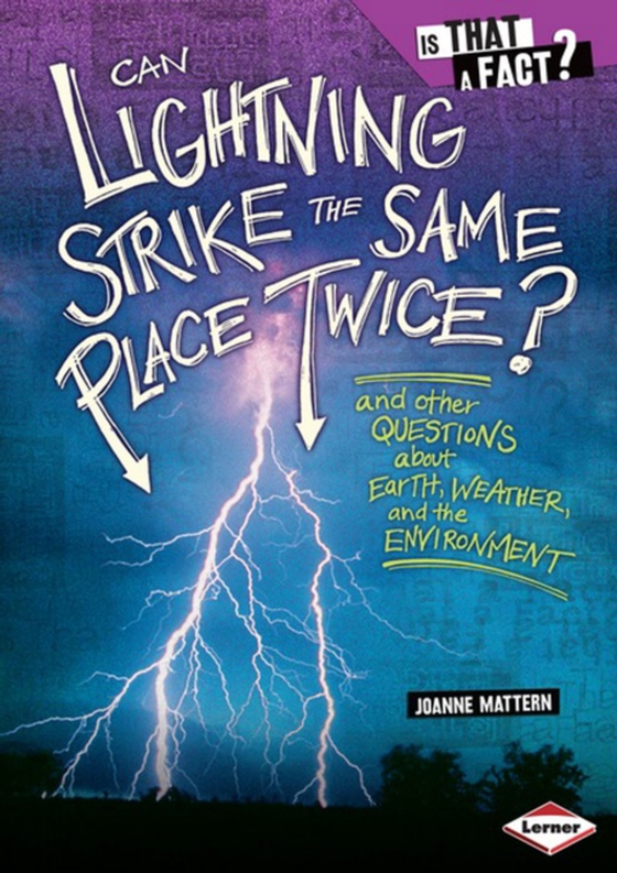 Can Lightning Strike the Same Place Twice? (e-bog) af Mattern, Joanne