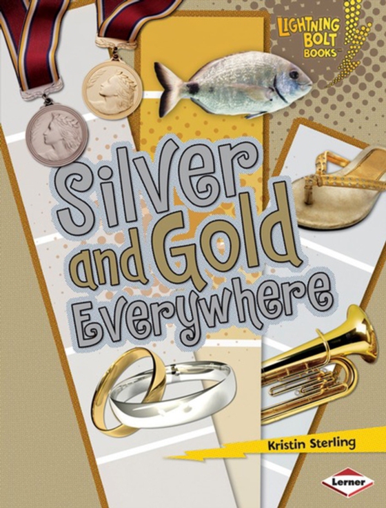 Silver and Gold Everywhere (e-bog) af Sterling, Kristin