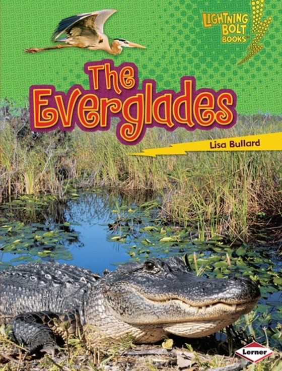 Everglades (e-bog) af Bullard, Lisa