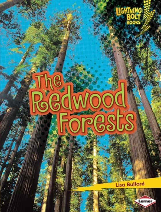 Redwood Forests