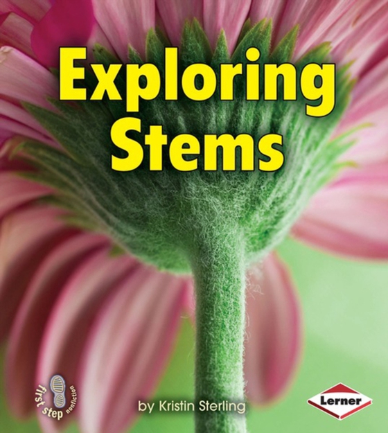 Exploring Stems