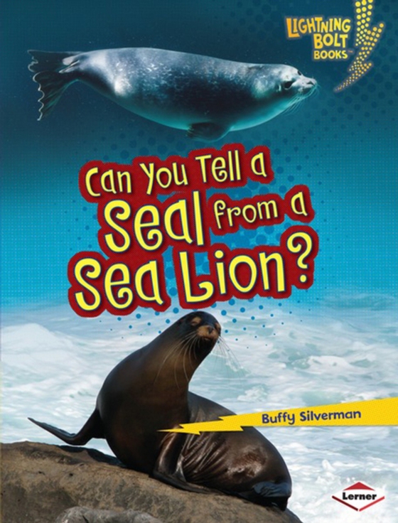 Can You Tell a Seal from a Sea Lion?