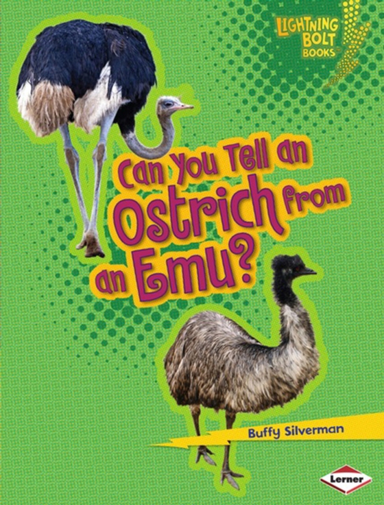 Can You Tell an Ostrich from an Emu? (e-bog) af Silverman, Buffy