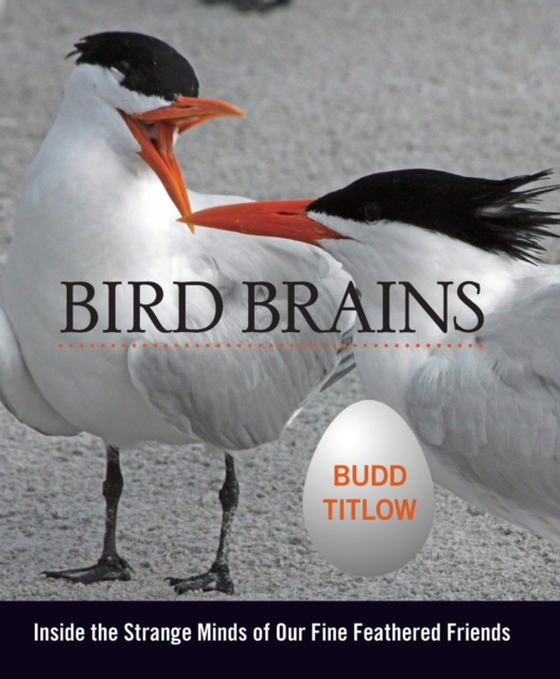 Bird Brains (e-bog) af Titlow, Budd