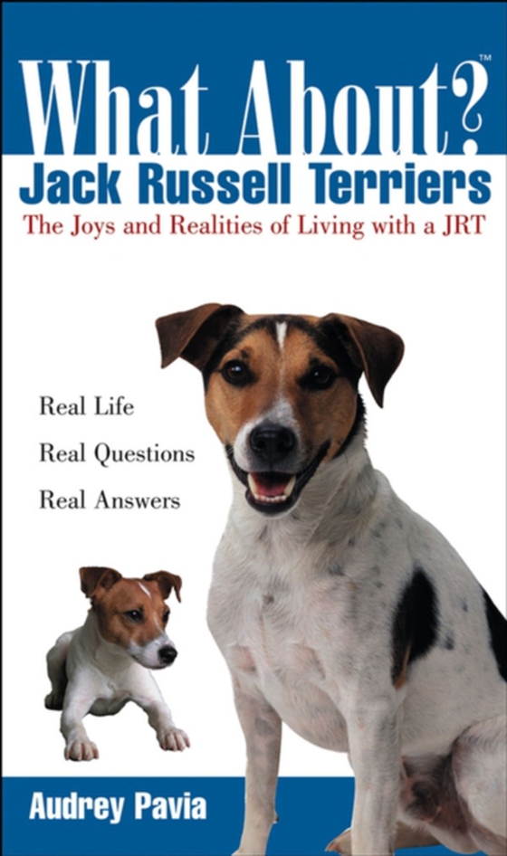 What About Jack Russell Terriers