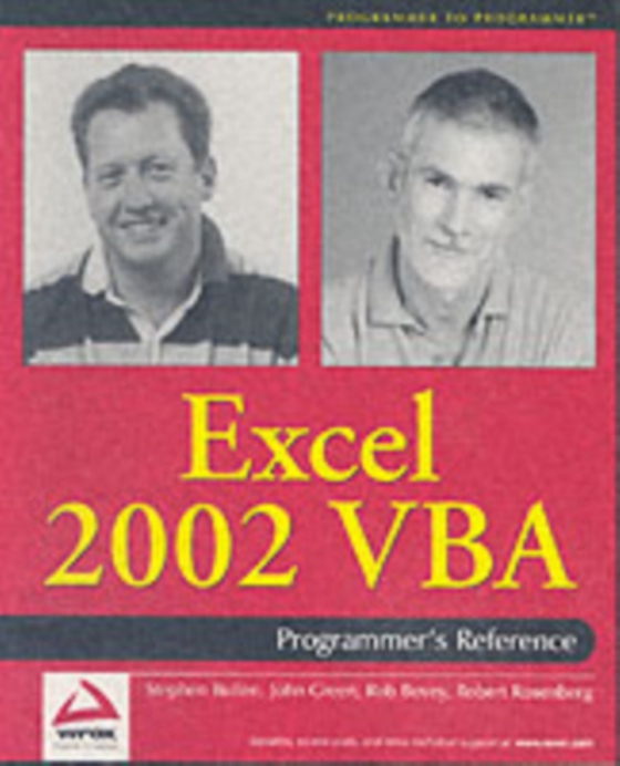 Excel 2002 VBA (e-bog) af Rosenberg, Robert