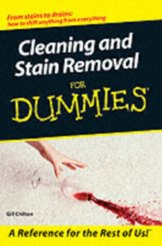 Cleaning and Stain Removal for Dummies