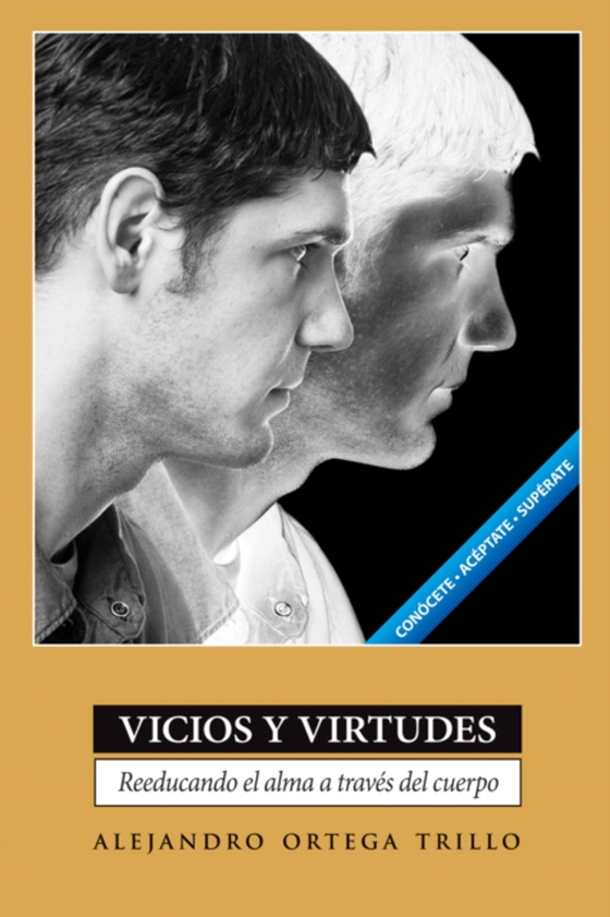 Vicios y virtudes